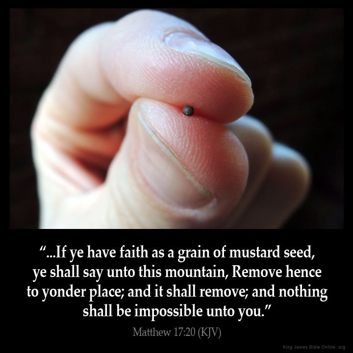 Today’s Community Scripture – 8/23/2023