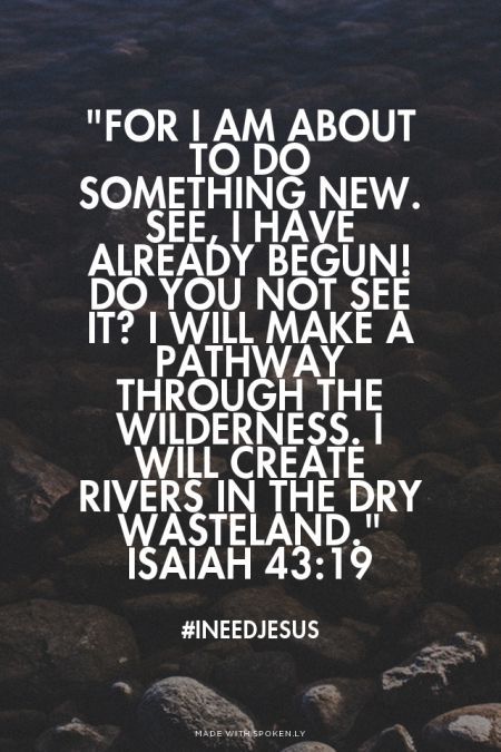 Today’s Community Scripture – 11/29/2023