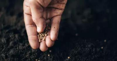 Refusing Negative Seeds